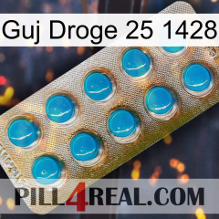 Guj Drug 25 1428 new09